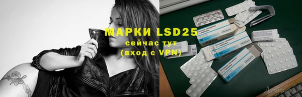 ECSTASY Абаза