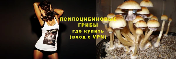 дмт Абинск