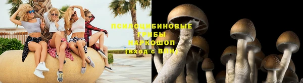 дмт Абинск