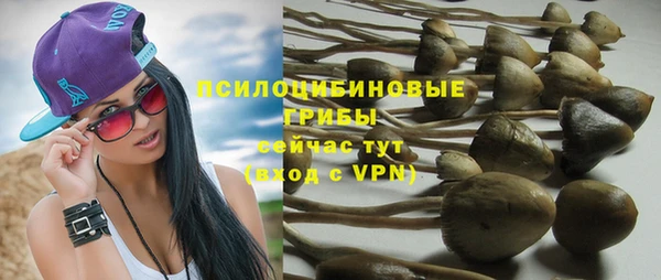 дмт Абинск